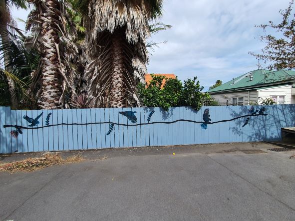 Native New Zealand birds in flight, graffiti on fence, sihouette